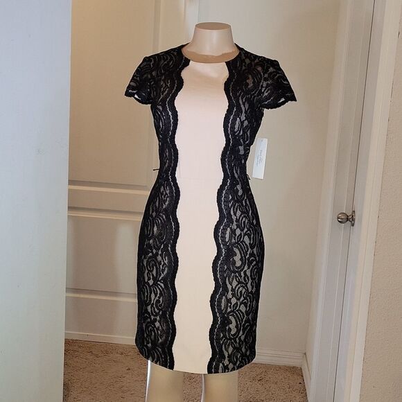 NWT IVY&BLU  BLACK LACE PANEL BODYCON DRESS - Picture 3 of 16